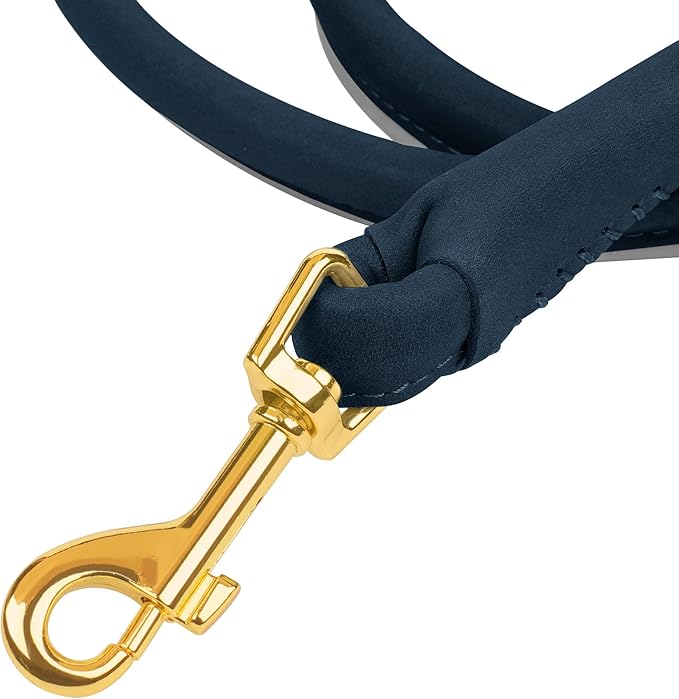 OOPSDOGGY Reflective Rolled Leather Dog Leash 6ft - Soft Training Lead for Small Medium Large Dogs Puppy - Heavy Duty Rope Puppies Leashes for Outdoor Walking Running (Blue, Medium/Large)