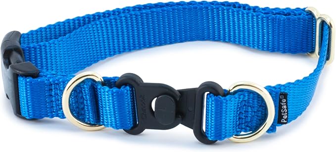 PetSafe KeepSafe Collar for Dogs - Protects Against Collar Accidents - Long Lasting - Durable - Adjustable - Breakaway - Outdoor-Safe - Medium - 3/4 in. Wide - Blue