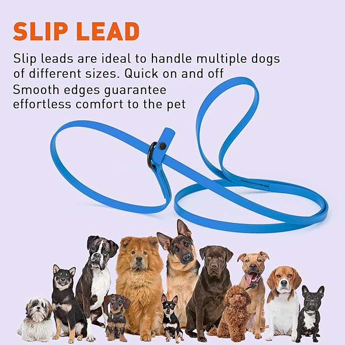 Dogline Biothane Slip Dog Leash - for Small, Medium and Large Dogs - Odor Free Slip Lead, Heavy Duty and Durable Material Kennel Lead - Cerulean Blue - 5ft L x 3/8in W