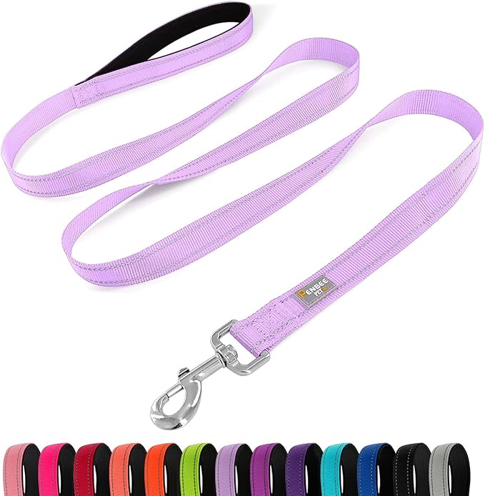 Reflective Dog Leash 6 FT Padded Handle Nylon Dogs Leashes for Small Dogs Lavender