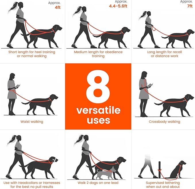HOWGO Hands Free Dog Leash with Padded Handle,Multifunctional Crossbody Waist Leash for Walking Running Jogging Training,7.5 FT Nylon Adjustable Length for All Breeds(MintGreen, Standard)