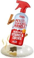 Sunny & Honey Pet Stain Remover - Enzyme Cleaner For New & Deep Set Stains - Carpet Deodorizer & Urine Odor Eliminator for Dog Pee, Cat Urine, Upholstery & Furniture (32 fl oz, Fall Spice)