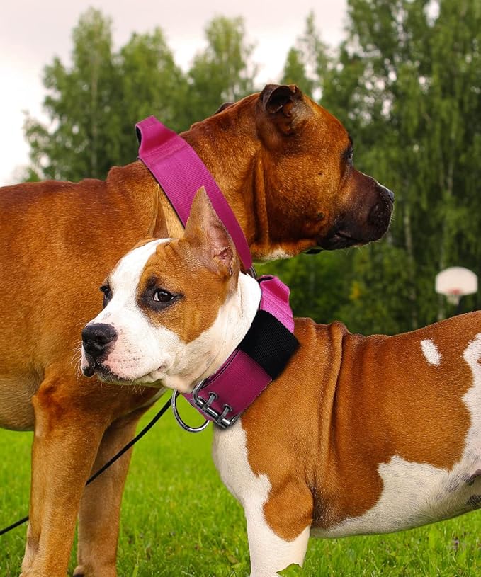 Dog Collar for Large Dogs - 2 in Hot Pink Collars with Handle for Extra Large Breed, Heavy Duty K9 Nylon Pet Tactical Collar XL, Best Choice for Pitbull German Shepherd Doberman Rottweiler 22"-27"