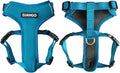 DJANGO Adventure Dog Harness - Stylish & Durable Small Dog Harness for Outdoor Adventures and Everyday Wear - Pacific Blue Neoprene Adjustable Harness for Dogs with Reflective Piping, Brass D-Ring