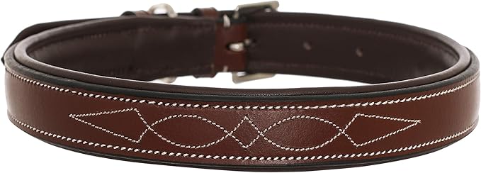 Exion Heavy Duty Dog Collar Designer Stitched Soft Leather Padded- Suitable for Small Medium Large X-Large Dogs for Walking Running Training- Havana with Oak Brown Padding