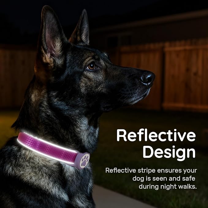 Reflective Dog Collar with Waterproof Air tagholder & Anti-Lost QR Code | Ultra-Durable | Soft Padded | Safety Locking Buckle | Fit Large Dogs (Purple L(15.7"-23.6"))