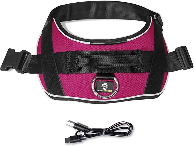 Personalized No Pull 360° LED Dog Harness with Custom Name Patches, USB Rechargeable, Adjustable, Reflective for Night Walks, Rainproof Module with 3 Modes Lasts up to 24h, Rose Red, S