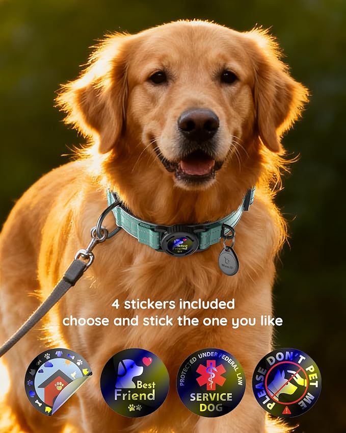 Upgrade Airtag Dog Collar,with IPX8 Waterproof AirTag Holder | Reflective Ultra-Durable | Soft Padded | Lock Buckle | Heavy Duty | Fit Small Medium Large Dogs（Teal，XL(19"～27")）