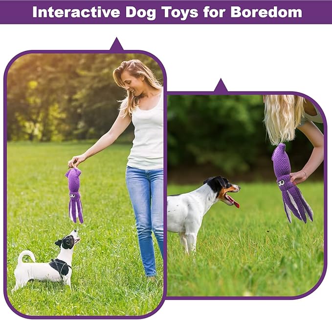 SUNKYPUP Squeaky Dog Toys - Small to Large, Stuffed with Crinkle Paper, Durable & Great for Puppies