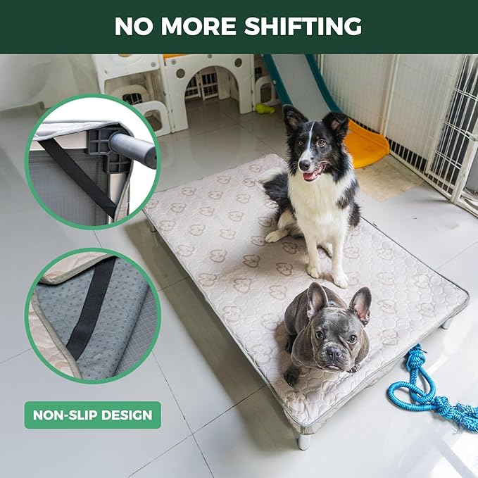 FXW TitanNest Chew-Proof Elevated Dog Bed, Raised Cot for Indoor/Outdoor/Camping Use, Durable & Washable Padded Pet Bed with Exclusive Reuseable Cover for Small Dogs, 35.0" L x 22.0" W x 4.5" H, Black