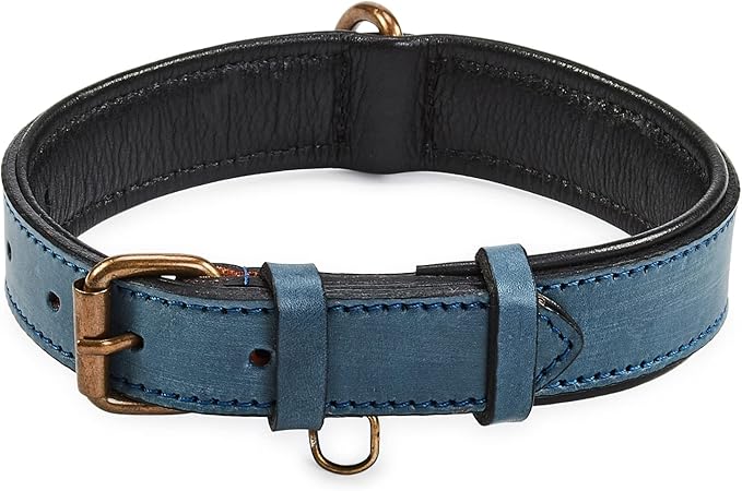 Real Leather Dog Collar Padded Soft Interiors with Premium Vintage Look Handcrafted Heavy Duty with Tag Ring for Small Medium and Large Pets (Medium (1.25" Wide for 13.5" - 17.5" Neck), Ocean Blue)