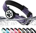 Airtag Dog Collar, Reflective Ultra-Durable Nylon Padded with QR Code Buckle & IP68 Waterproof Air Tag Holder Compatible for Apple AirTag, Comfortable for Small Medium Large Dogs(Purple,S)