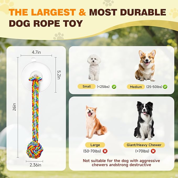 Interactive Tug Toy with Sticky Suction Cups, Durable Rope & Rainbow Chew Ball, Indestructible Enrichment Puzzle, Built for Aggressive and Busy Chewers，Toy for Small to Medium Dogs