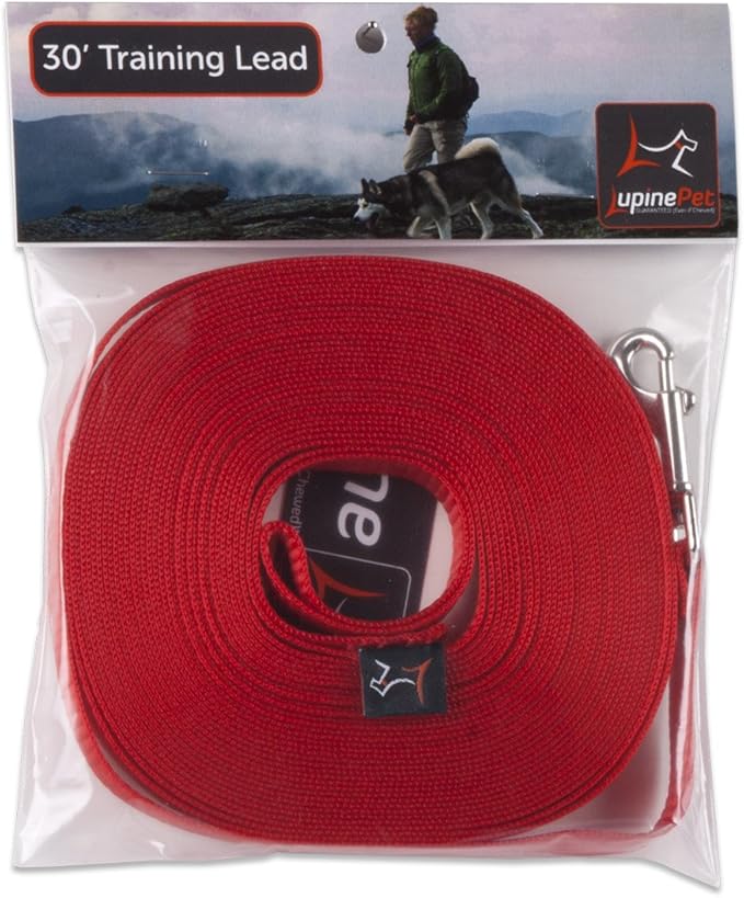 LupinePet Basics 1/2" Red 30-foot Extra-Long Training Lead/Leash for Small Pets