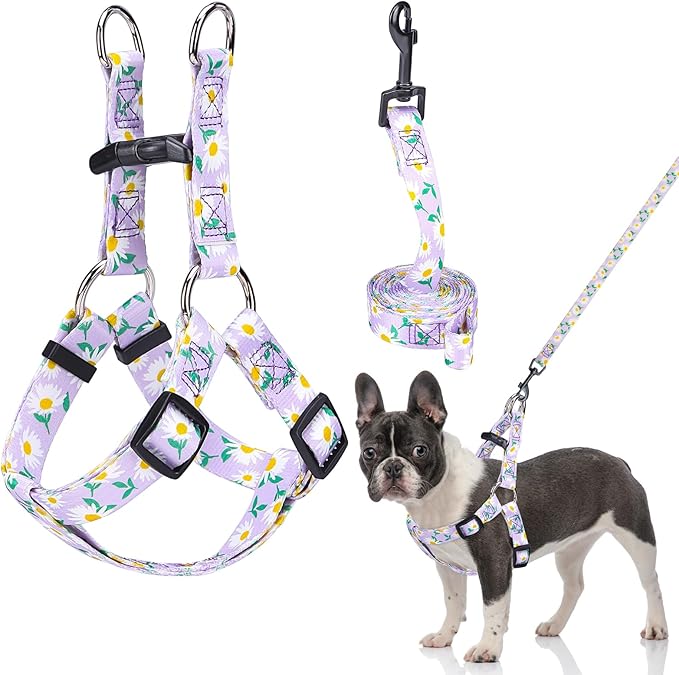 BEAUTYZOO No Pull Dog Harness and Leash Set - Adjustable Step-in Puppy Harness for Small Medium Large Dogs, Escape Proof Soft Nylon Vest with Double D Ring for Walking Running Training, Purple M