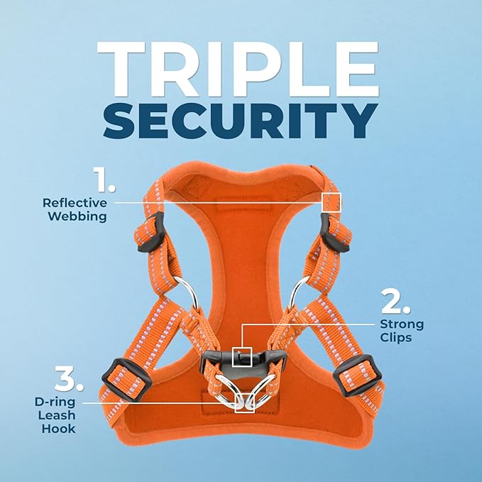 Best Pet Supplies Voyager Adjustable Step-in Flex Breathable Mesh Dog Harness for Small Medium Large Dogs Leash Set (Orange), L