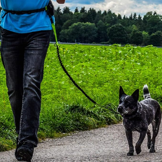 Hundefreund Hands-Free Leash for Small Dogs Under 30 lbs – Lightweight Waist Leash with Reflective Bungee, Pouch & Dual Handles – Ideal for Running, Walking & Hiking