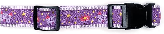 THE WORTHY DOG Collar for Large Dogs, Adjusts 18-24 inches, Durable Nylon Webbing, Quick Release Buckle, Princess Pattern, Purple, X-Large
