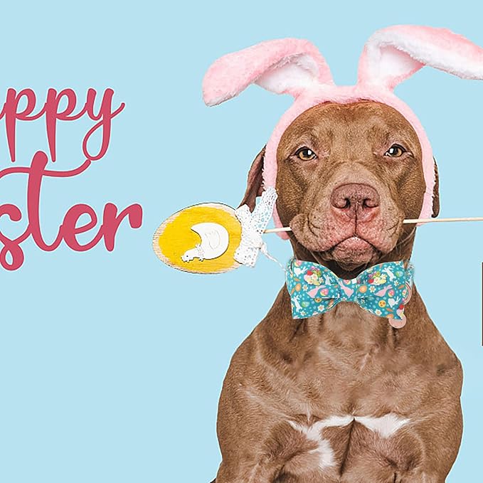 DOGWONG Easter Dog Bow Tie with Collar, Spring Holiday Bunny Eggs Dog Collar for Boys and Girls Large Medium Pets Puppies