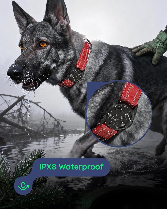 Upgrade Airtag Dog Collar,with IPX8 Waterproof AirTag Holder | Reflective Ultra-Durable | Soft Padded | Lock Buckle | Heavy Duty | Fit Small Medium Large Dogs（Purple，S(12"～15")）