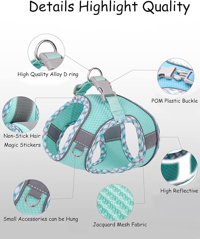 Petank Dog Harness for Small Medium Dogs No Pull, Puppy Harness and Leash Set, Step in Dog Harness for Walking, Running, Training(Purple, XS)
