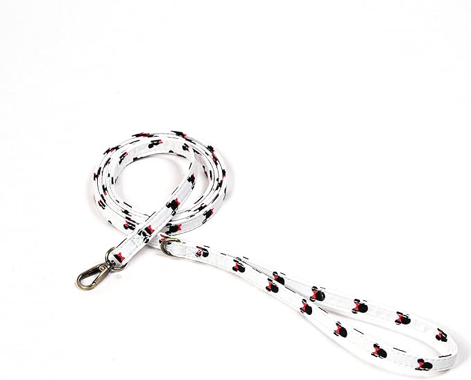 Organic Cotton Dog Leash for Small,Medium and Large Breed,Brass Hardware Pet Leash for Walking,Running and Training 6FT