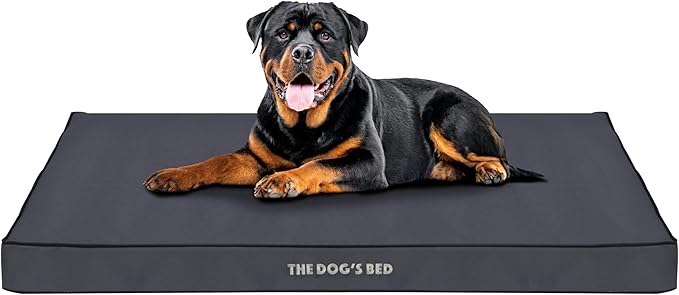 The Dog’s Bed Orthopedic Standard Foam Dog Bed Mattress, Oxford Fabric, Grey with Black Trim, XXL