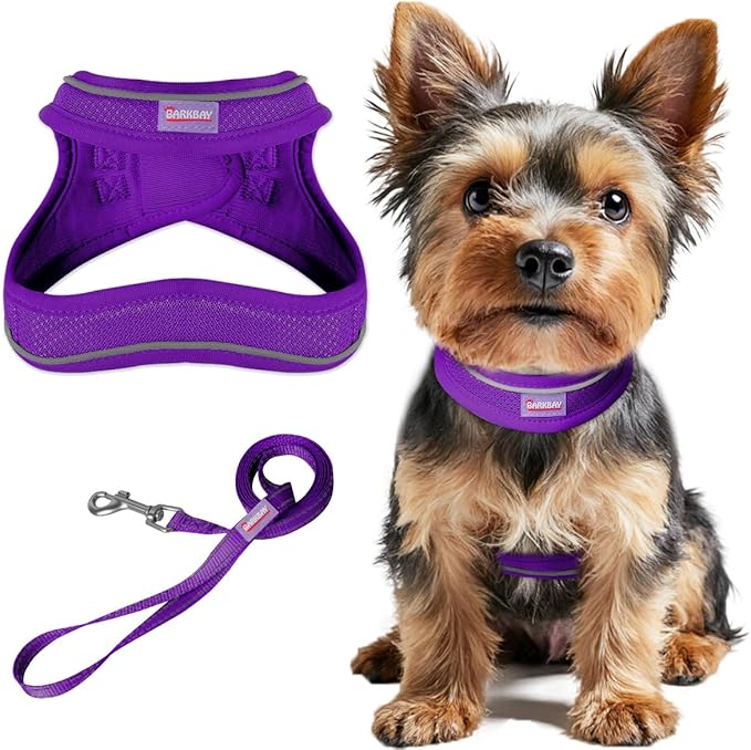 Dog Harness and Leash Set,Step in Small Sized Dog Harness,Soft Mesh,No-Chock,Reflective Adjustable,Secure with Hook & Loop Fastener,Puppy Vest for Small,Medium Dogs(Purple,XXXS)