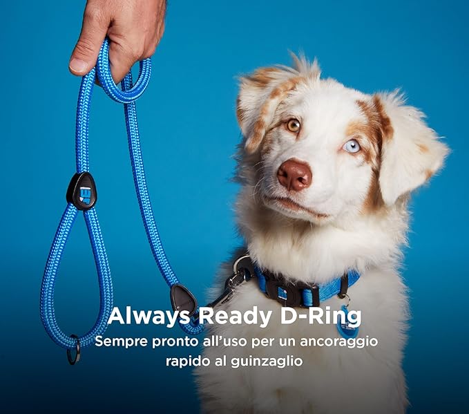 MyFamily Adjustable Polyester Dog Collar Made in Italy, Your Dog's Master Data Always with You, Comfortable and Durable, Handmade, Memopet Collection