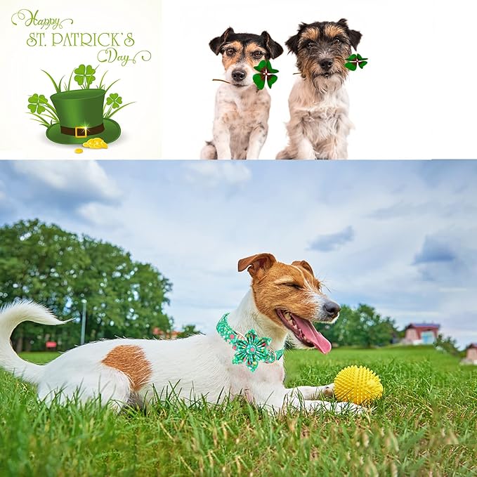 Unique style paws St. Patrick's Day Dog Collar with Flower Tie Rainbow Clover Heart Puppy Collar for Small Medium Large Boys Girls-XL