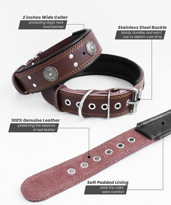 Leather Dog Collar, 2 inches Wide Heavy Duty Genuine Leather Collars, Handmade, Soft, and Luxury, Eye-catching Best Choice for Large and Medium Breed Dogs 18.5-22.5 in
