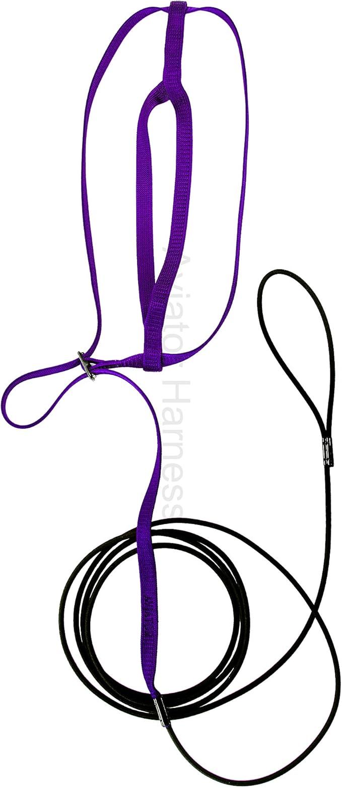 The AVIATOR Pet Bird Harness and Leash: X-Large Purple