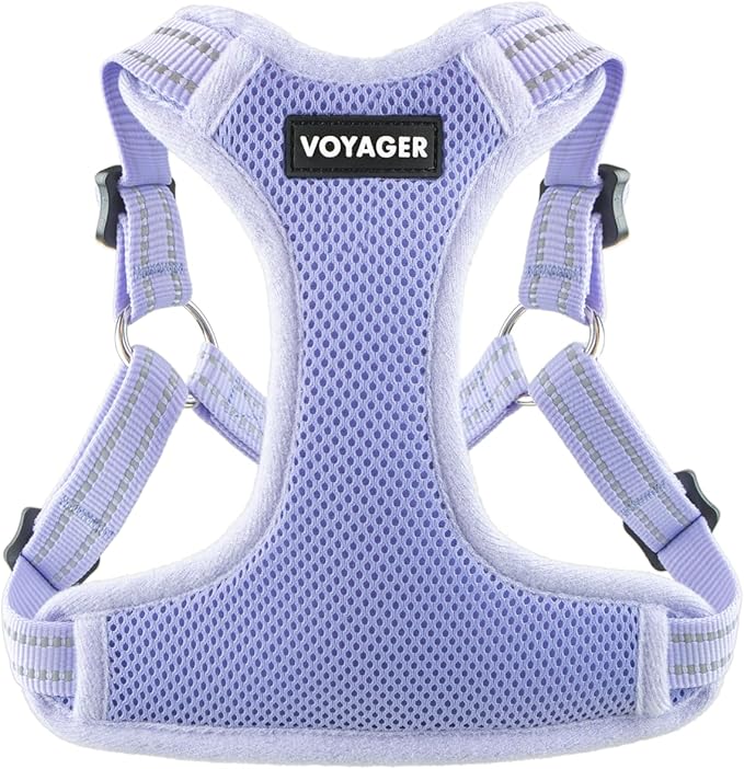 Best Pet Supplies Voyager Adjustable Step-in Flex Breathable Mesh Dog Harness for Small Medium Large Dogs (Lavender), XL