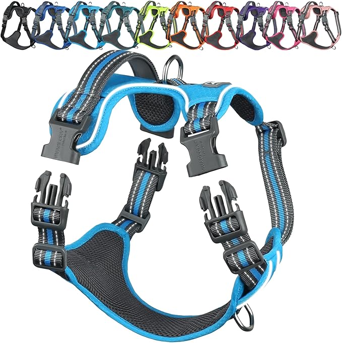 VIVAGLORY Dog Harness Easewalk No Pull Dog Harness with Handle Front Clip & Back Clip for Training Walking Lifting, No Pull Adjustable Easy On Padded Comfortable for Pet, S, Sky Blue - Patterned