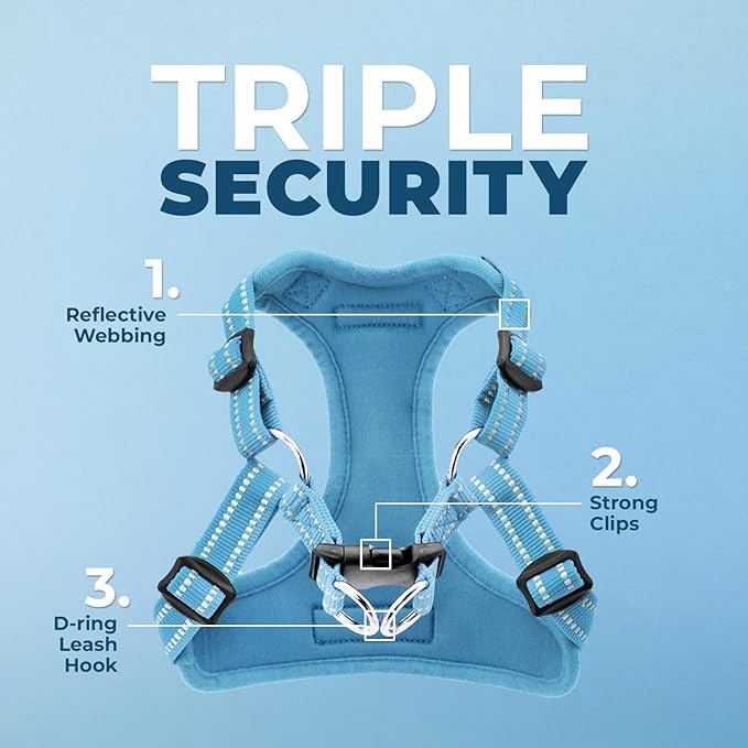 Best Pet Supplies Voyager Adjustable Step-in Flex Breathable Mesh Dog Harness for Small Medium Large Dogs Leash Set (Baby Blue), XS
