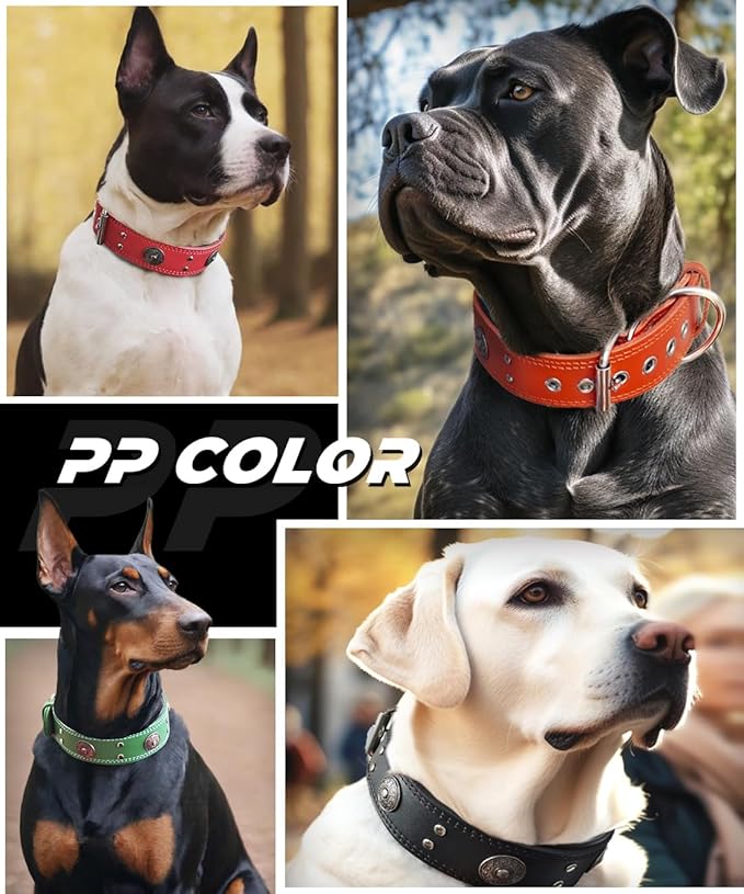Leather Dog Collar, 2 inches Wide Heavy Duty Genuine Leather Collars, Handmade, Soft, and Luxury, Eye-catching Best Choice for Large and Medium Breed Dogs, Red 15-19 ins