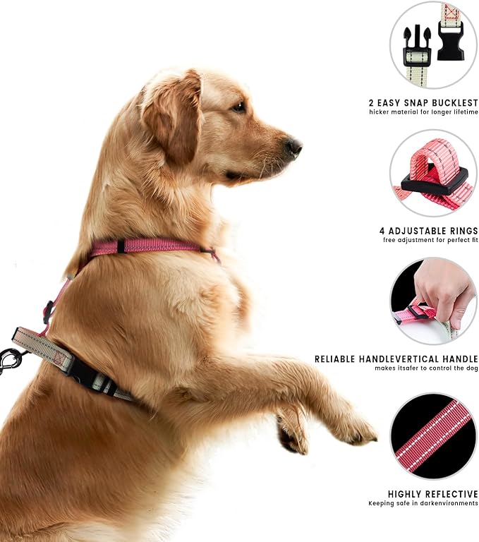 Roses&Poetry Puppy Dog Harness and Leash Set, No Pull Dog Harness Adjustable Reflective, Dog Halter Harnesses Comfort Padded Handle, Pet Harness for Training Outdoor Walking（Pink-S