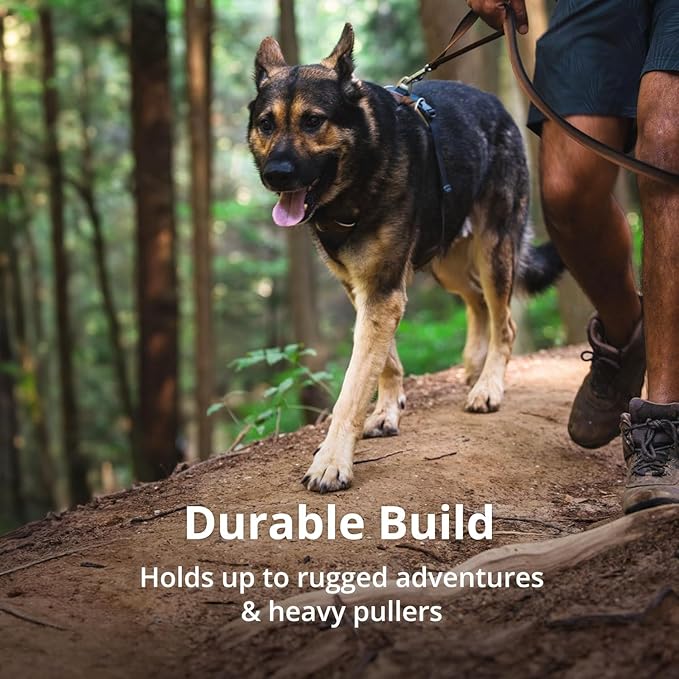Ruffwear, Front Range Dog Harness, Reflective Soft Padded Everyday Harness with Dual Leash Clips, Adjustable and Lightweight Fit for Training or Walking for All Dogs, Basalt Gray, Large/X-Large