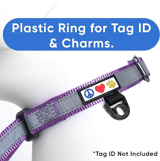 Pawtitas Personalized Dog Collar Martingale Dog Collar with Name Phone Number Reflective Martingale Dog Collar Customized Collar for Large Dogs | Orchid Custom Dog Collars for Large Dogs