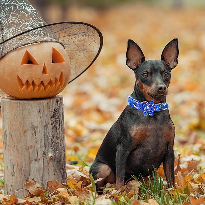 Elegant little tail Halloween Dog Collar, Halloween Pumpkin Dog Collars with Flower Girl Boy Flowers Holiday Soft Durable Pet Collar for Medium Dogs