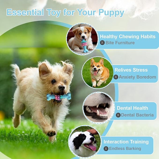 Puppy Chew Toys, Indestructible Dog Toys for Aggressive Chewers - Small & Medium Breed, Durable Rubber Chew Bone Toy for Small Dogs, Puppy Toys for Teething, Anxiety & to Keep Busy