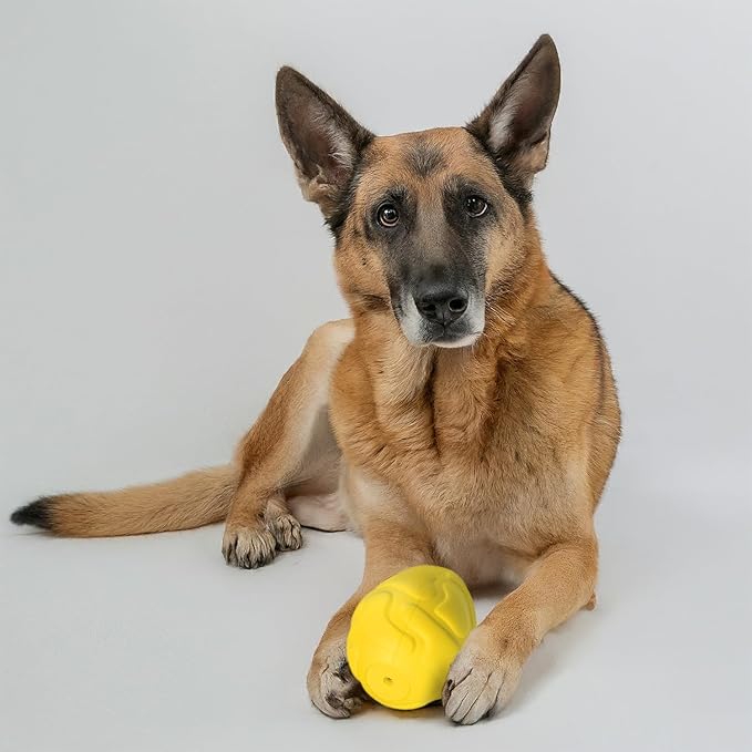 Generic Durable Dino Egg Dog Chew Toys for Aggressive Chewers: Long Lasting, Natural Rubber, Squeaky Fun, Yellow