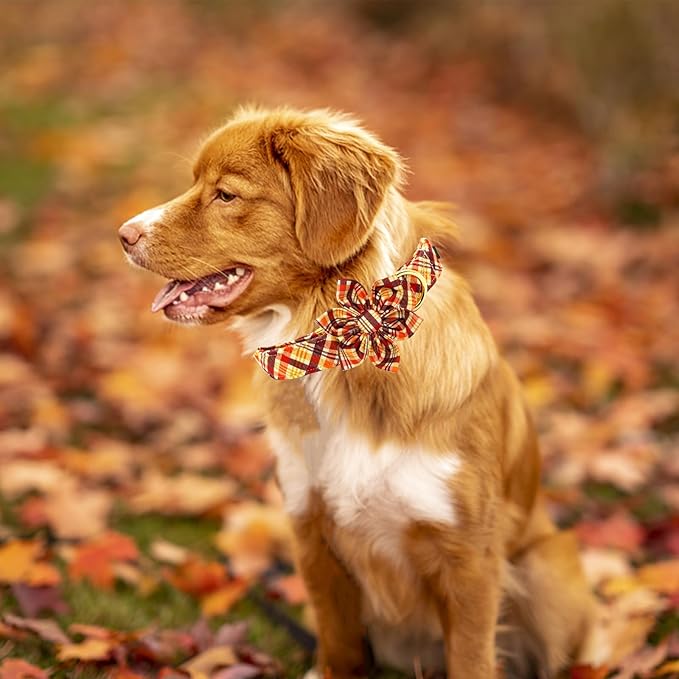 Elegant Tail Fall Little Dog Collar - Plaid with Flowers, Soft & Durable for Large Dogs