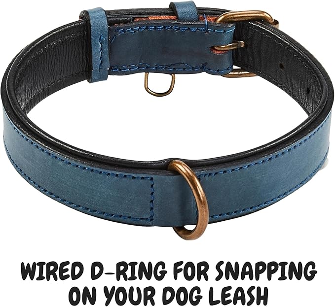 Real Leather Dog Collar Padded Soft Interiors with Premium Vintage Look Handcrafted Heavy Duty with Tag Ring for Small Medium and Large Pets (Medium (1.25" Wide for 13.5" - 17.5" Neck), Ocean Blue)