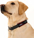 ComfortFlex Premium Padded Martingale Dog Collar – Reflective Waterproof Slip-On Limited Slip Collar for Gentle Control & Escape Prevention - Large, Bordeaux