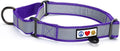 Pawtitas Personalized Dog Collar Martingale Dog Collar with Name Phone Number Reflective Martingale Dog Collar Customized Collar for Large Dogs | Purple Custom Dog Collars for Large Dogs