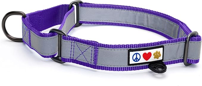 Pawtitas Personalized Dog Collar Martingale Dog Collar with Name Phone Number Reflective Martingale Dog Collar Customized Collar for Large Dogs | Purple Custom Dog Collars for Large Dogs