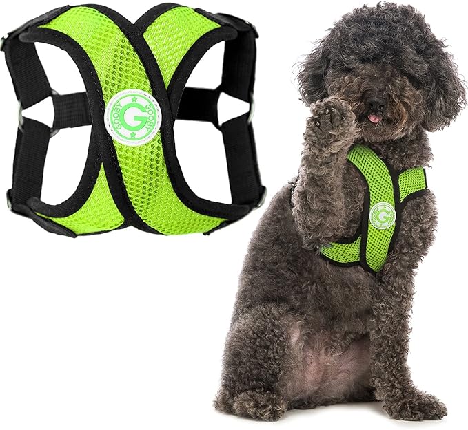 Gooby - Comfort X Step-in Harness, Choke Free Small Dog Harness with Micro Suede Trimming and Patented X Frame, Green, X-Large