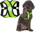 Gooby - Comfort X Step-in Harness, Choke Free Small Dog Harness with Micro Suede Trimming and Patented X Frame, Green, X-Large