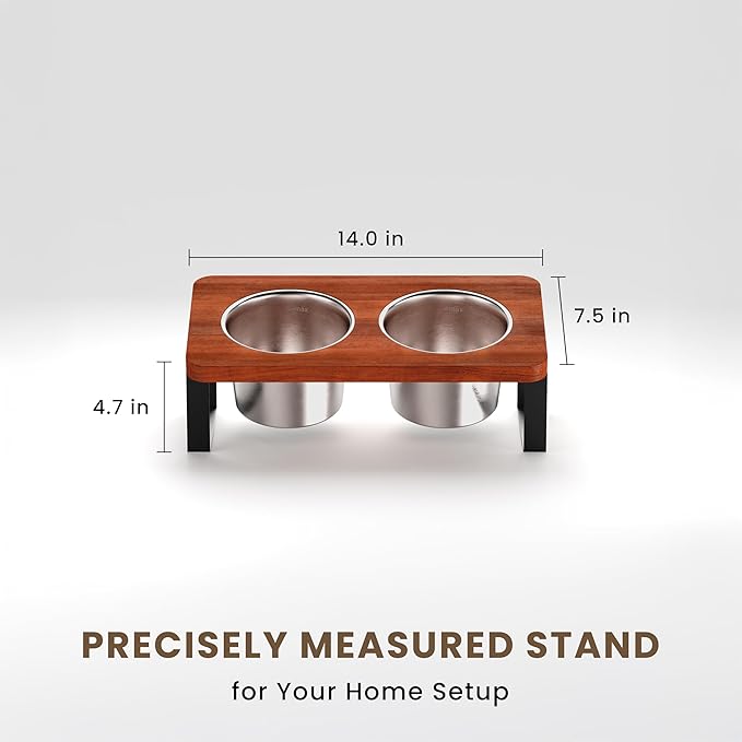 4.7" Tall Elevated Dog Bowls - Ergonomic Stainless Steel Dog Bowls with 10° Tilt in Acacia Wood Stand for Puppies, Small, and Short-Legged Breed